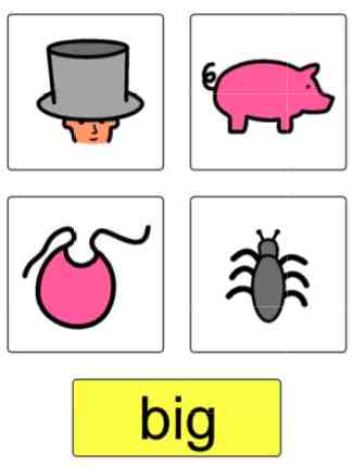 Response plate for decoding:  big, pig, bib, bug.